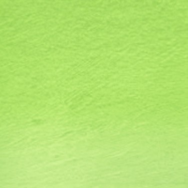 PROCOLOUR LIGHT MOSS 